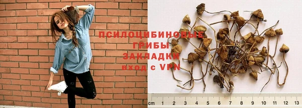 скорость mdpv Касимов