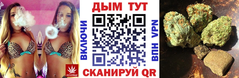Конопля индика  Купить где  Серов 